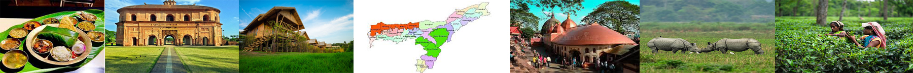 Inner Banner of Consumer Affairs