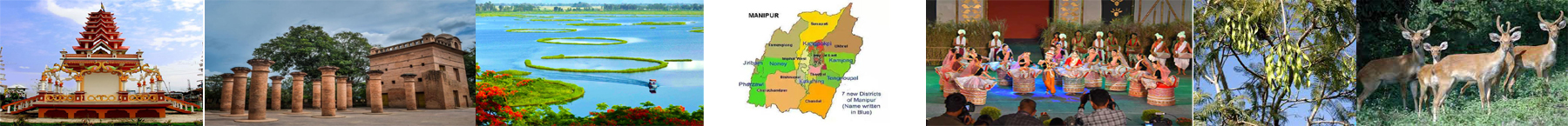 Inner Banner of Consumer Affairs