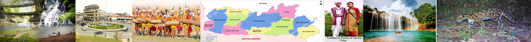 Inner Banner of Consumer Affairs