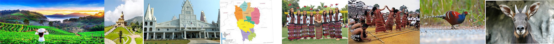 Inner Banner of Consumer Affairs