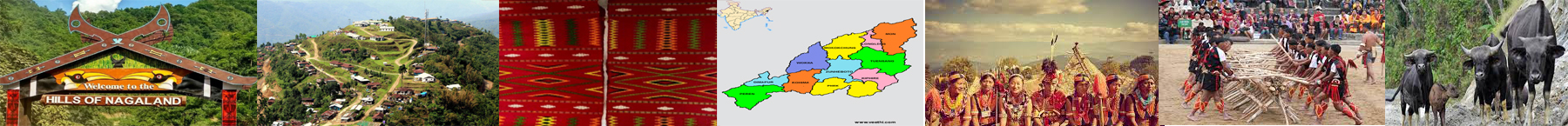 Inner Banner of Consumer Affairs